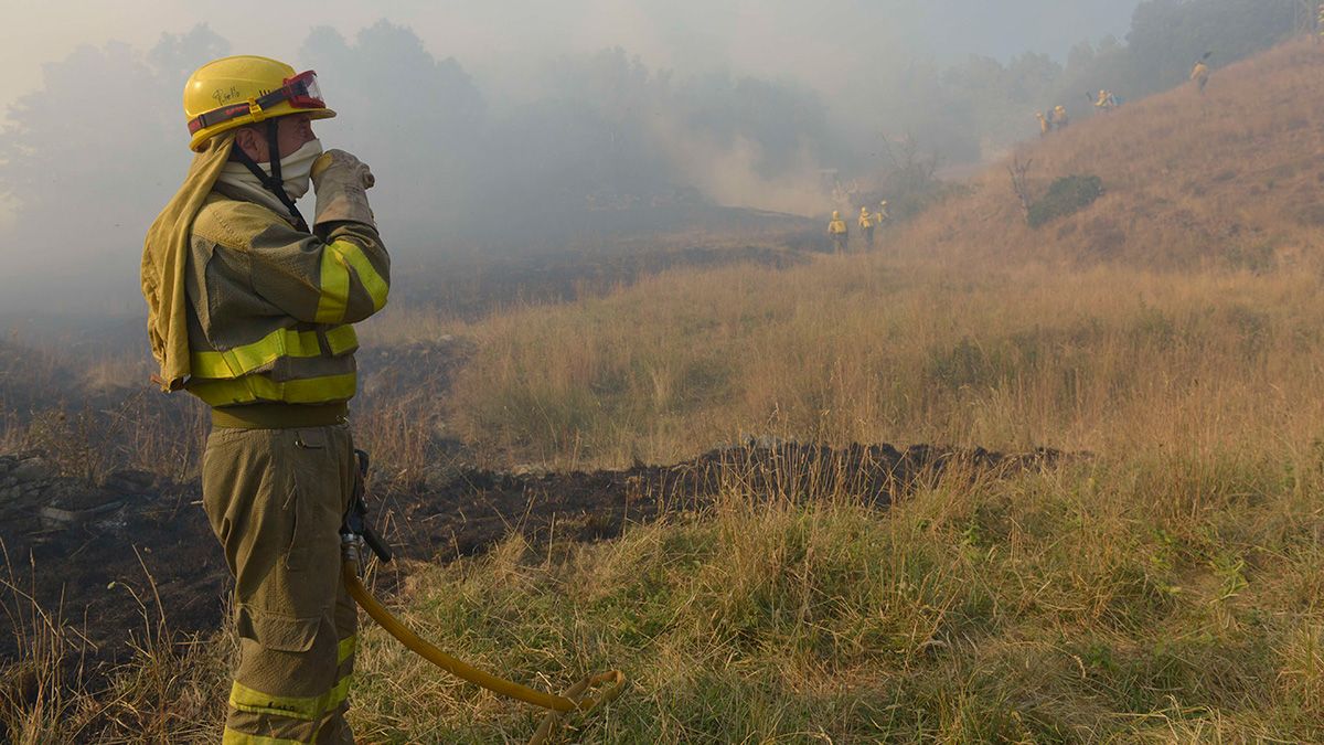 Activado El Peligro Medio De Incendios Forestales En León