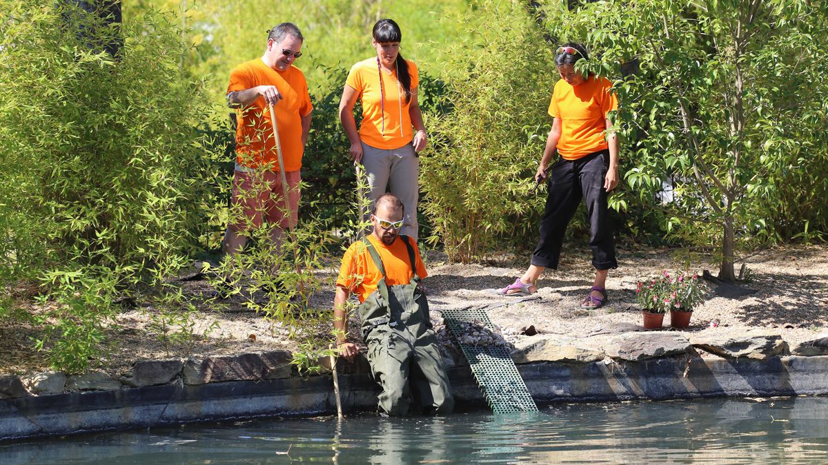 Mas De 300 Han Participado En Actividades De Voluntariado Ambiental