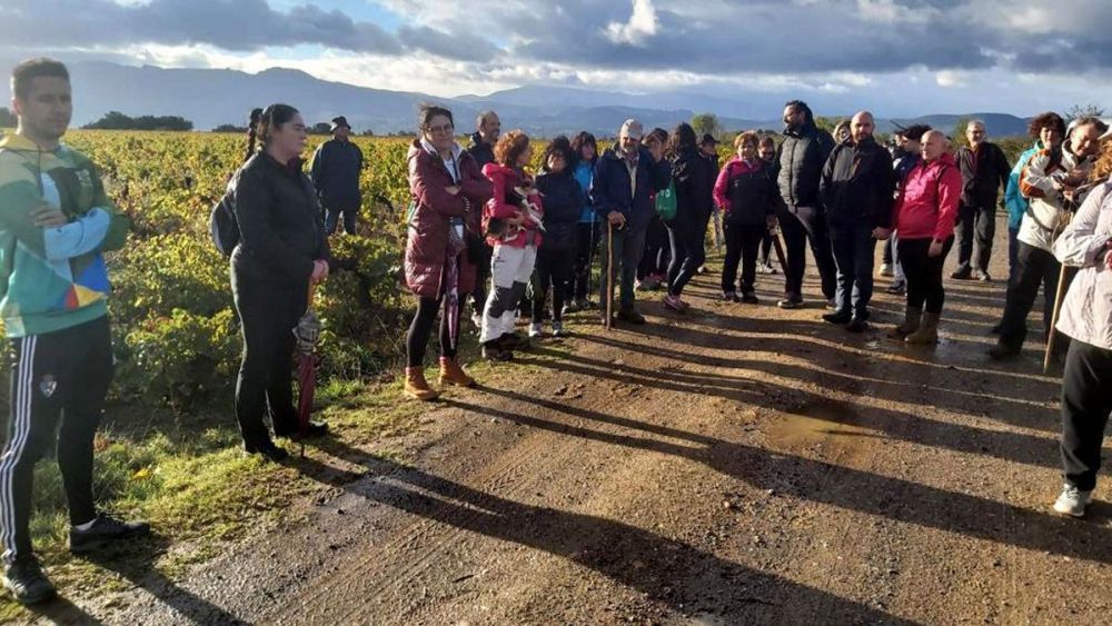 El Consejo Comarcal abre el plazo de inscripción para la Ruta por la