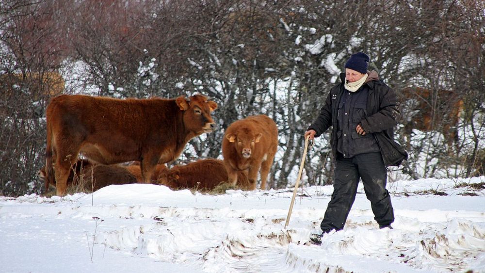 Elevan A Naranja La Alerta Por Nevadas En La Monta A Leonesa Este Jueves