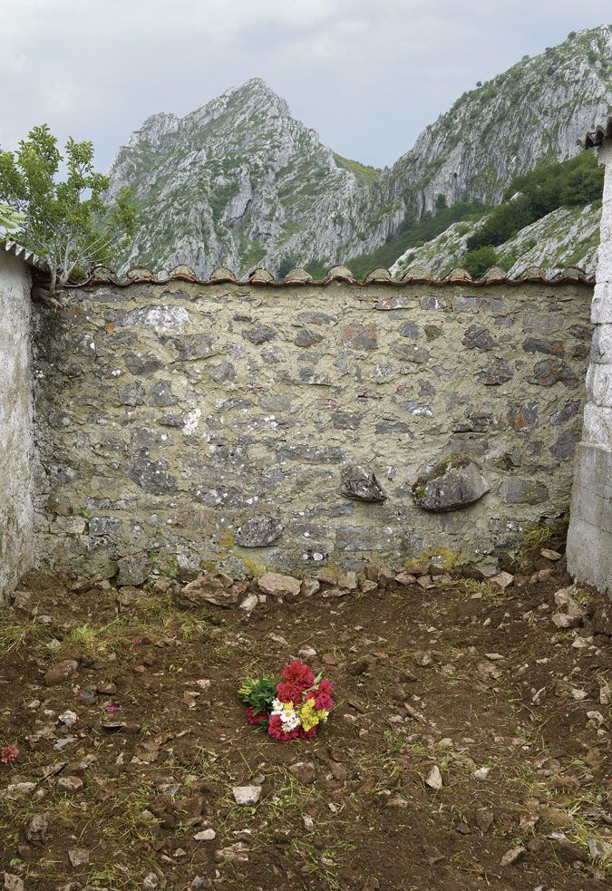 El rincón de las flores anónimas