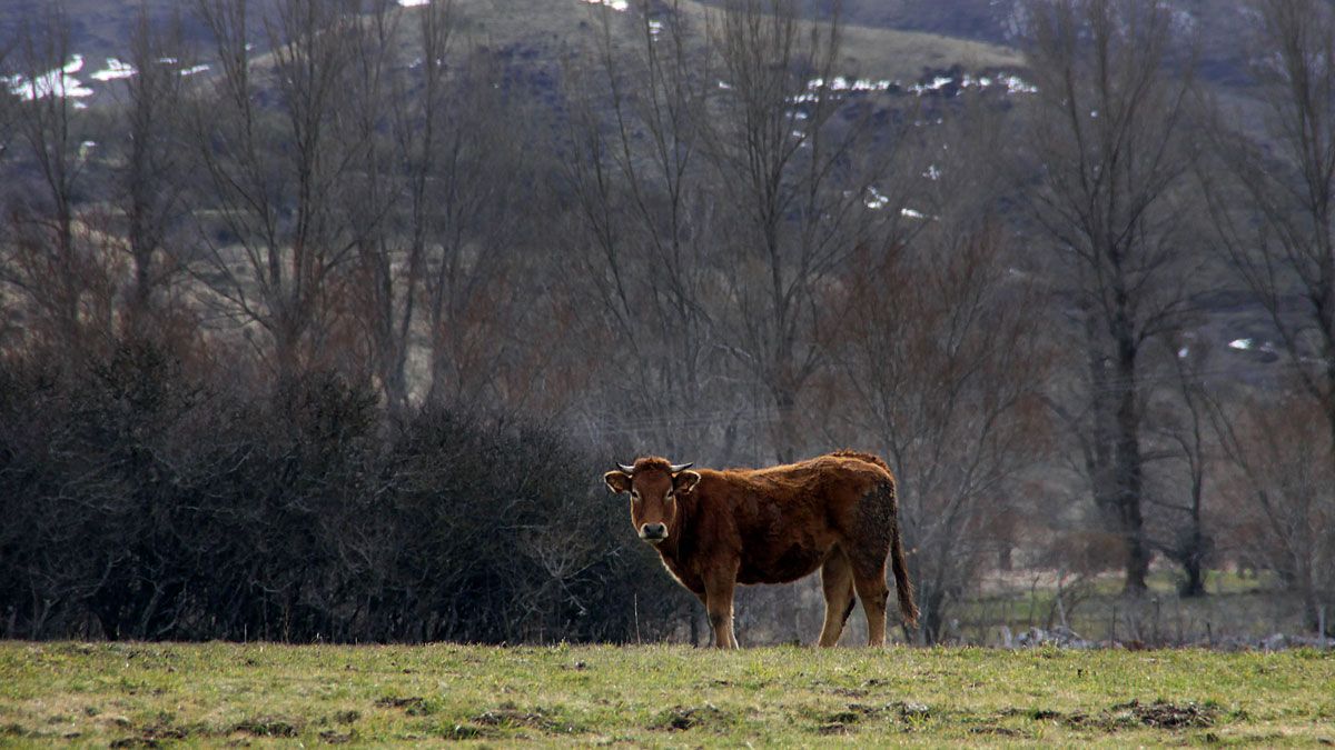 Concluyen obras de mejora de la Red Natura 2000