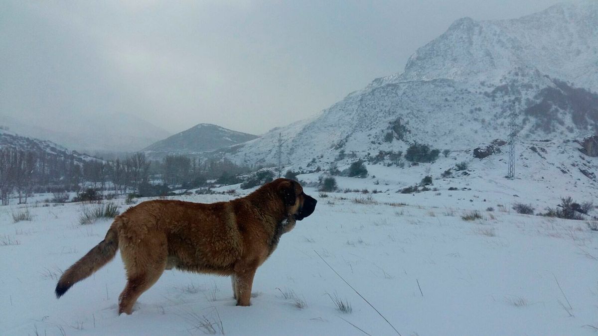 La nieve se queda todo el fin de semana