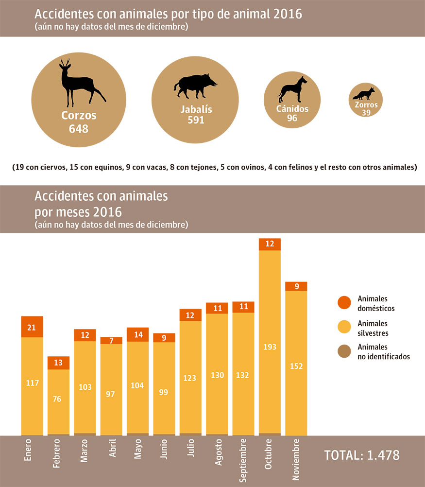 La provincia de León registra cuatro accidentes con animales cada día