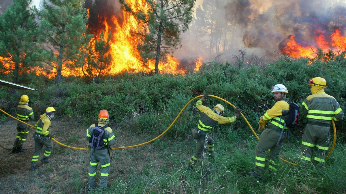 Brigadas forestales en la extinción de un incendio en Magaz de Abajo, el pasado julio. | C. Sánchez (Ical)