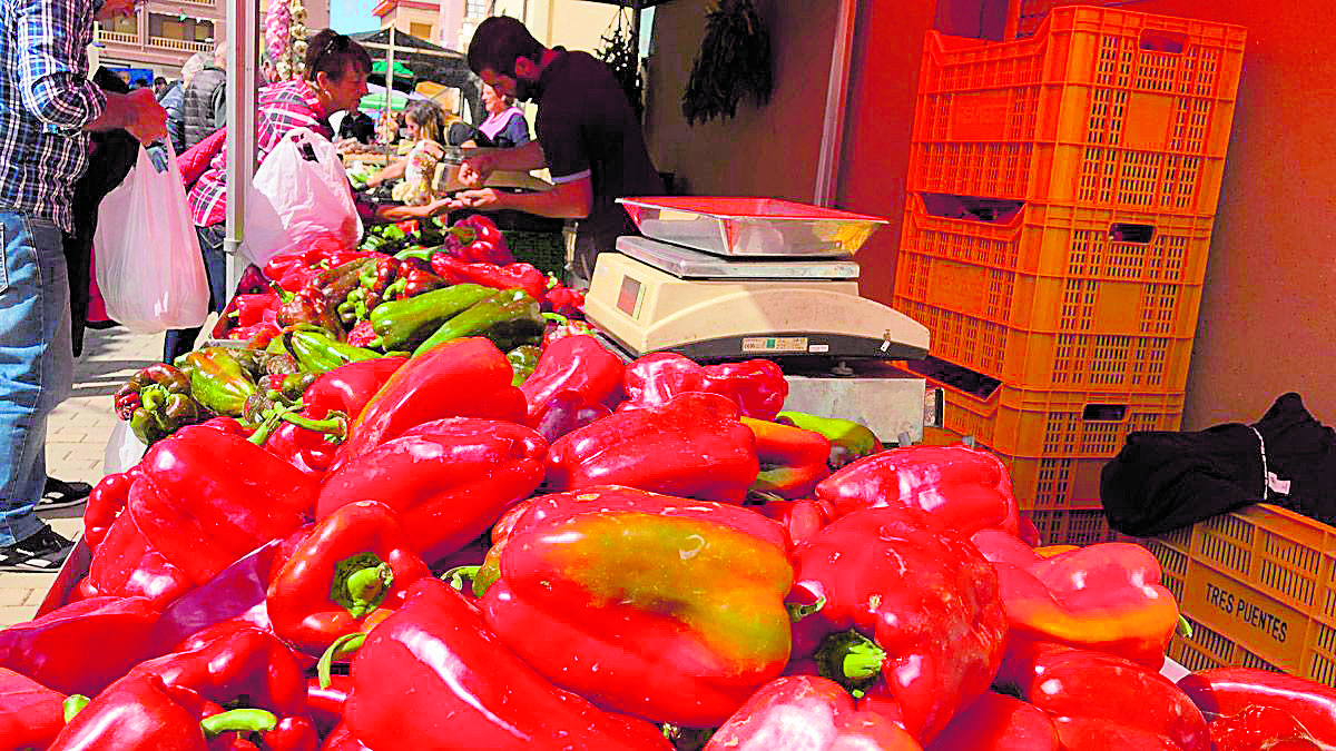 Los productores de la zona se suman a esta cita, ofreciendo las mejores hortalizas y legumbres, directamente de la huerta al consumidor. | P. FERRERO