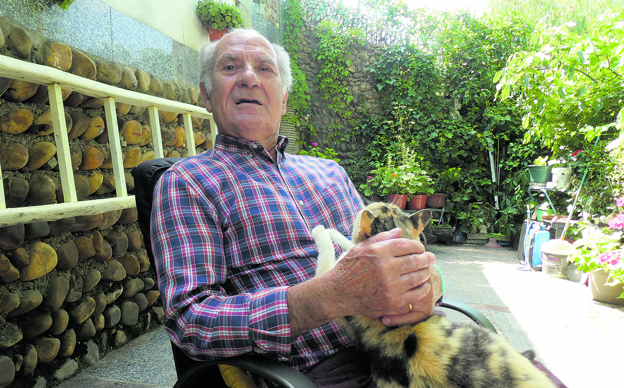 El artista con su gato; imprescindible ser vivo para acompañar los días. | GREGORIO FERNÁNDEZ CASTAÑÓN
