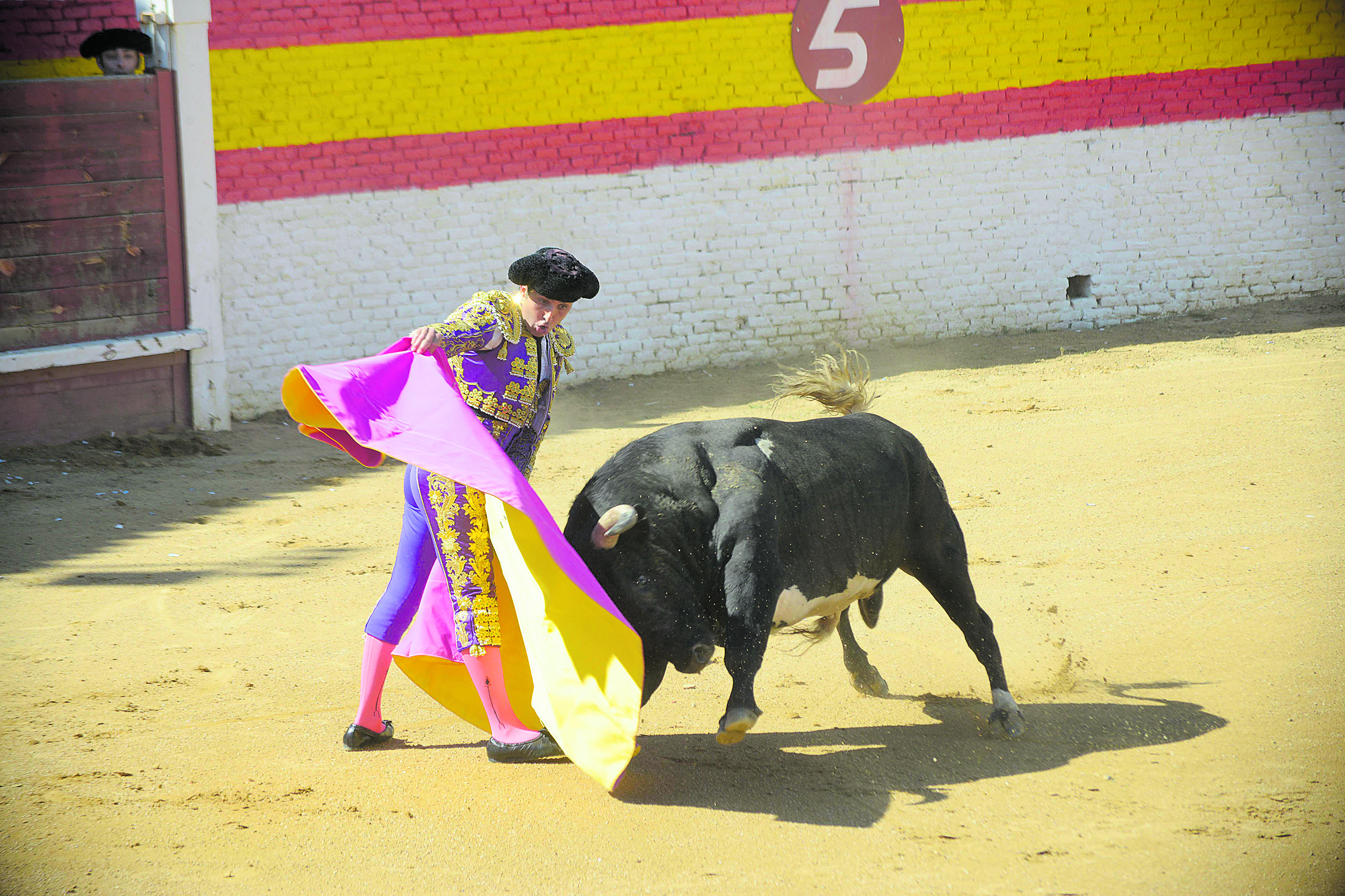 El sábado llegará el momento más esperado por los amantes de la tauromaquia con la corrida de toros con seis ejemplares bravos de la ganadería Valdellán. | MAURICIO PEÑA