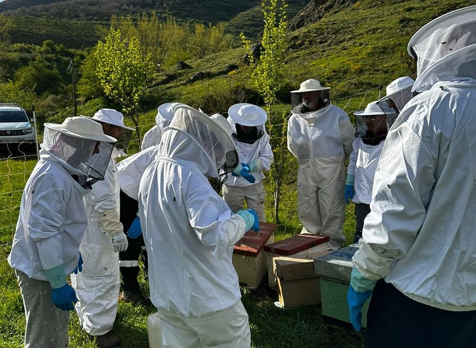 Alumnos del curso de iniciación a la apicultura celebrado en Pola de Gordón. | L.N.C. 