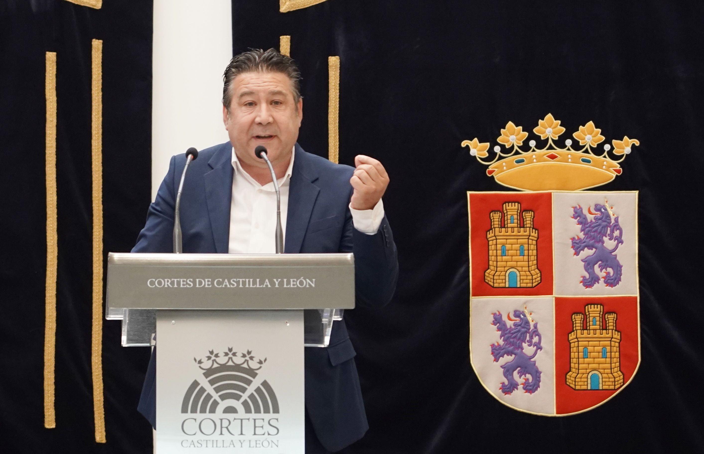 Luis Mariano Santos ha participado este miércoles en el debate de las Cortes. | RUBÉN CACHO (ICAL)