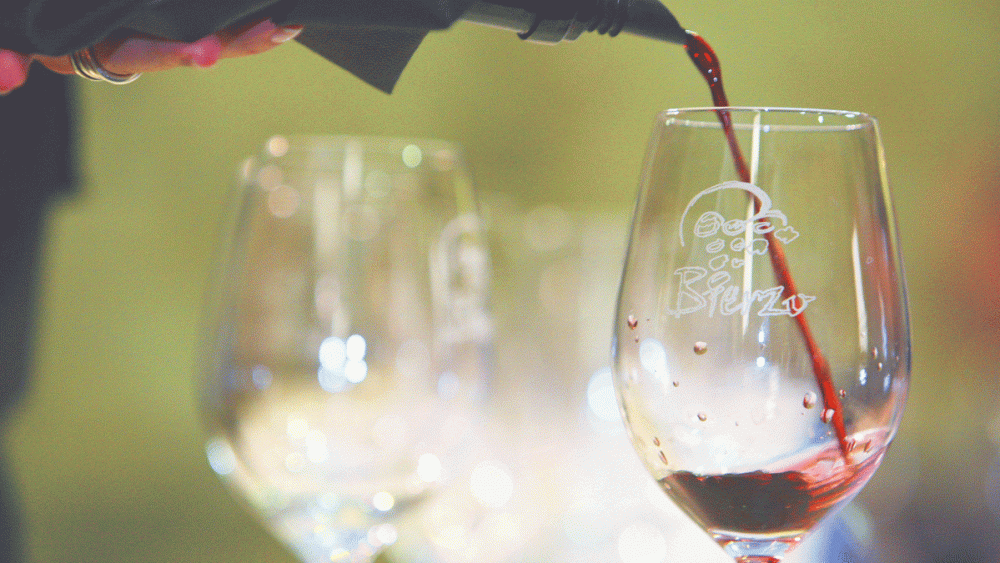 Los vinos del Bierzo 2023 consiguen la calificación de excelente una vez más.