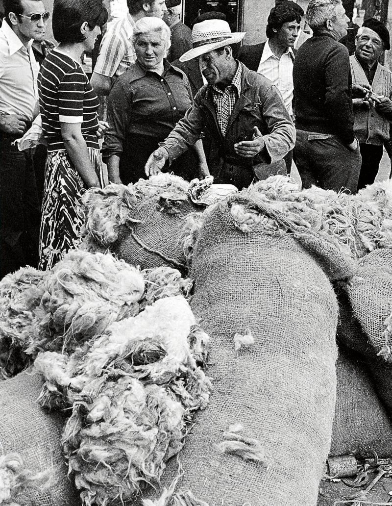 En el mundo de la trashumancia y el pastoreo la lana ha perdido el lugar que ocupó. | FERNANDO RUBIO