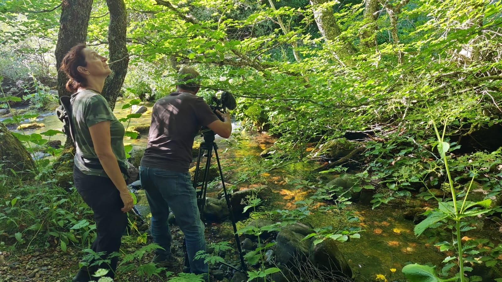 El documental incluirá la participación de especialistas y profesionales sobre la protección del medio natural.