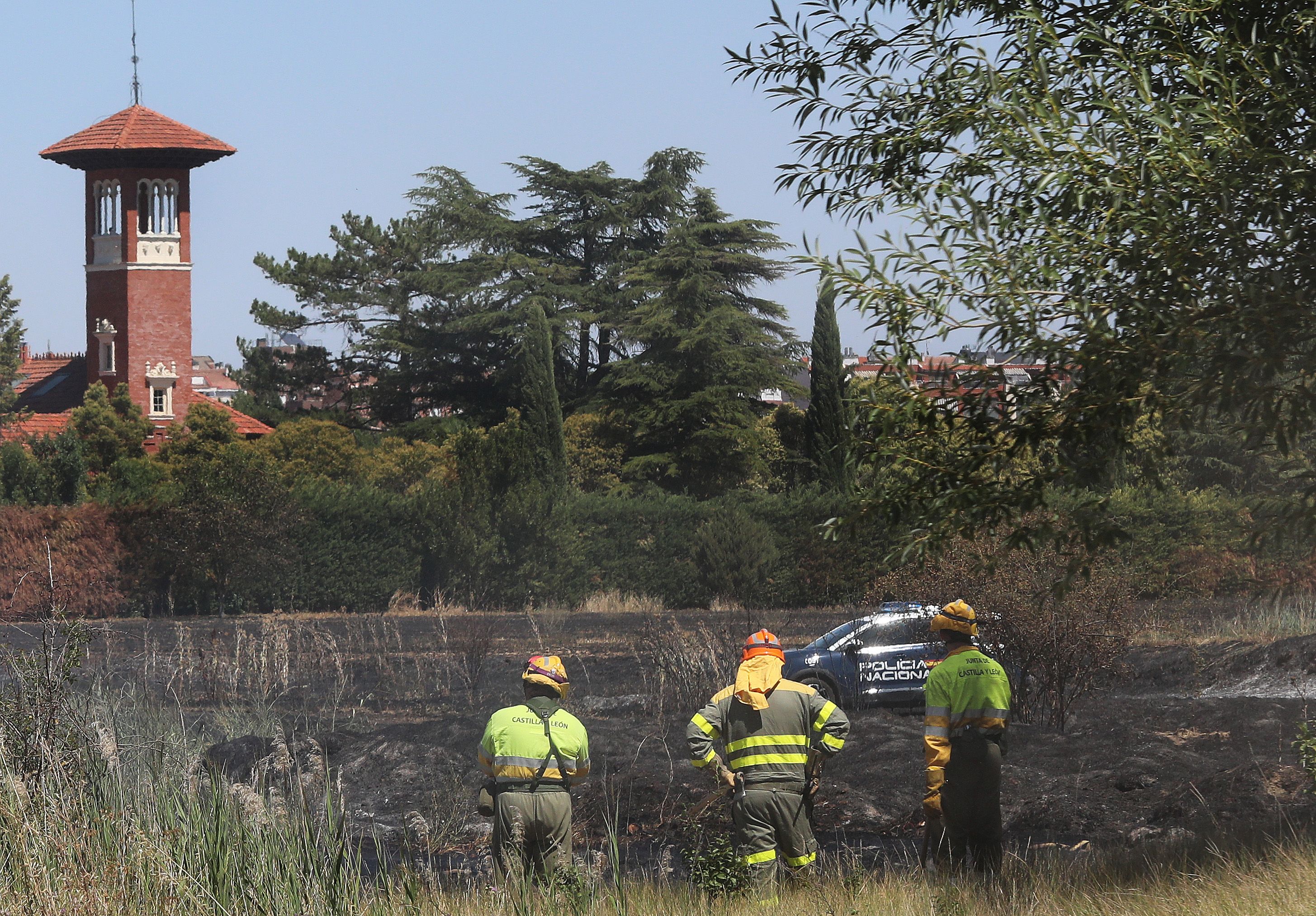 Lugar donde ha aparecido el cadáver de un hombre de 79 años entre los restos del incendio en una tierra de cultivo en Palencia. | BRÁGIMO (ICAL)