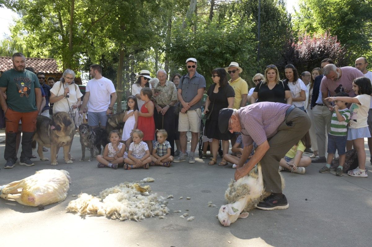 Fería de Artesanía de Val de San Lorenzo 01