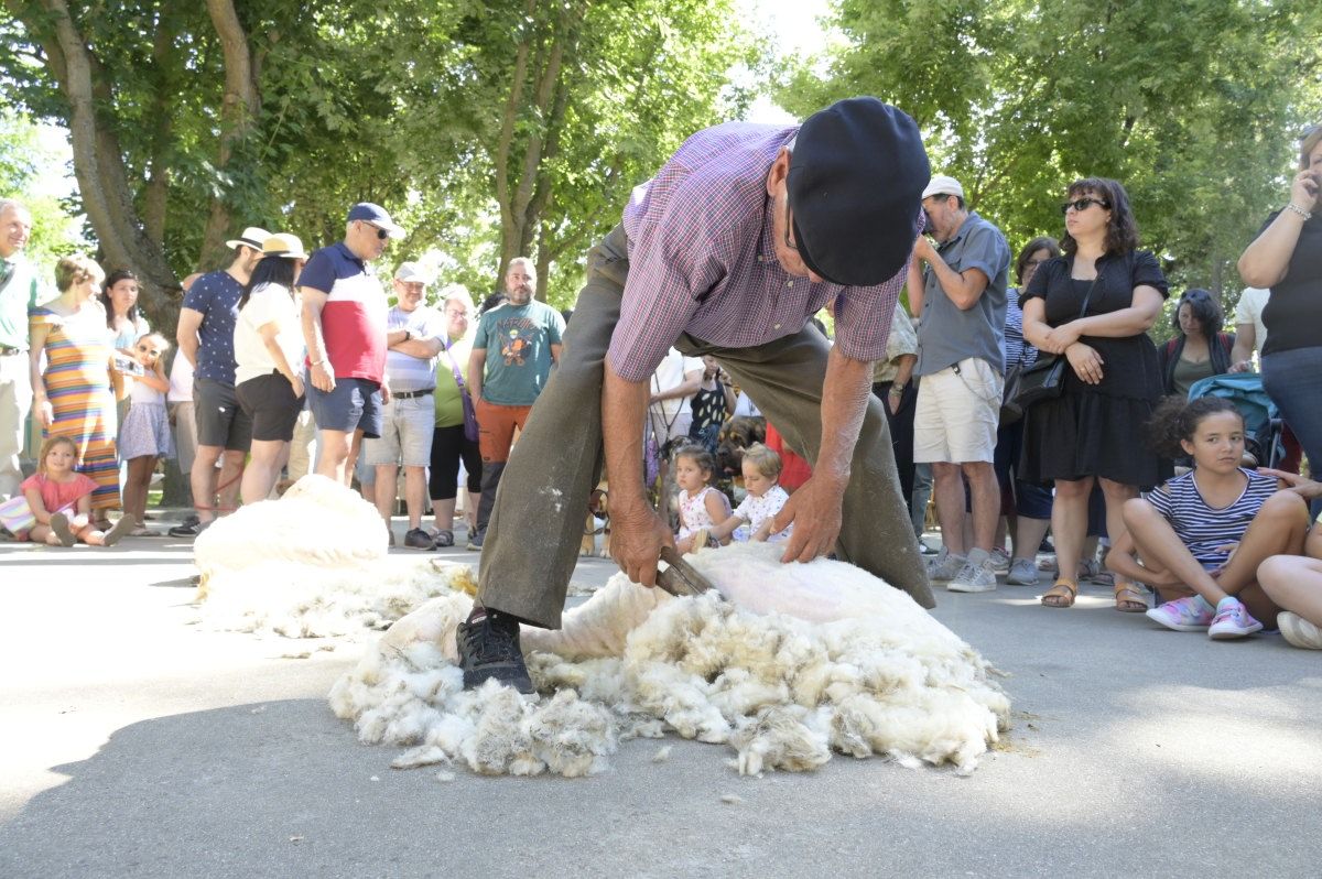 Fería de Artesanía de Val de San Lorenzo 03