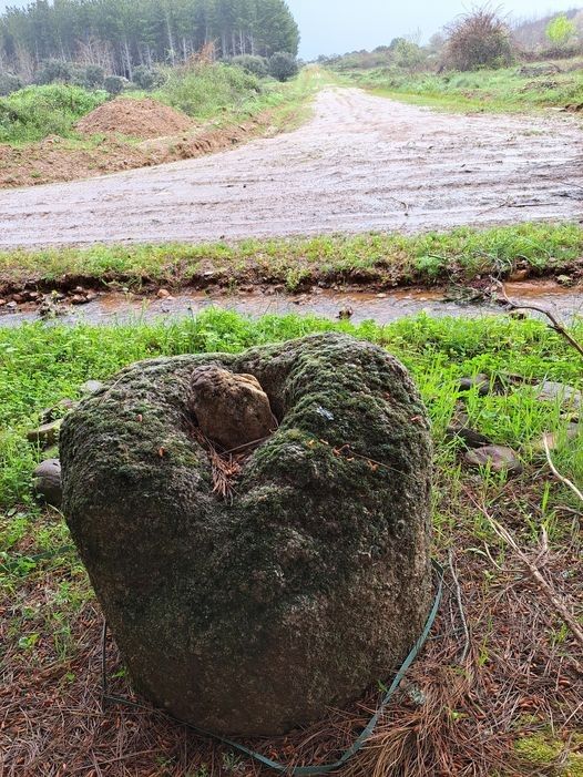 Las piedras han sido un recurso ancestral para separar las fincas. 