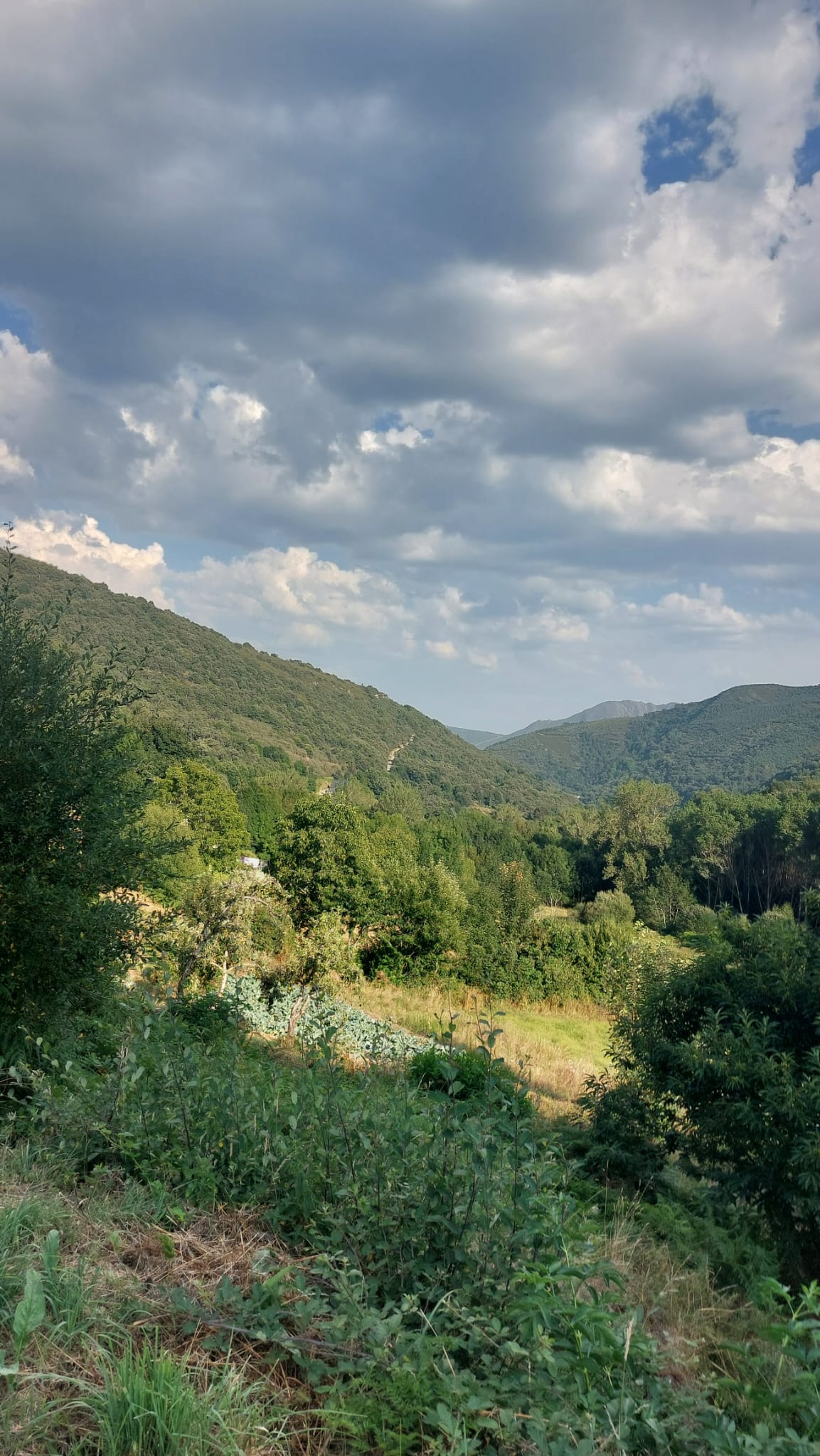 Vistas de la ruta por el Hayedo de Busmayor