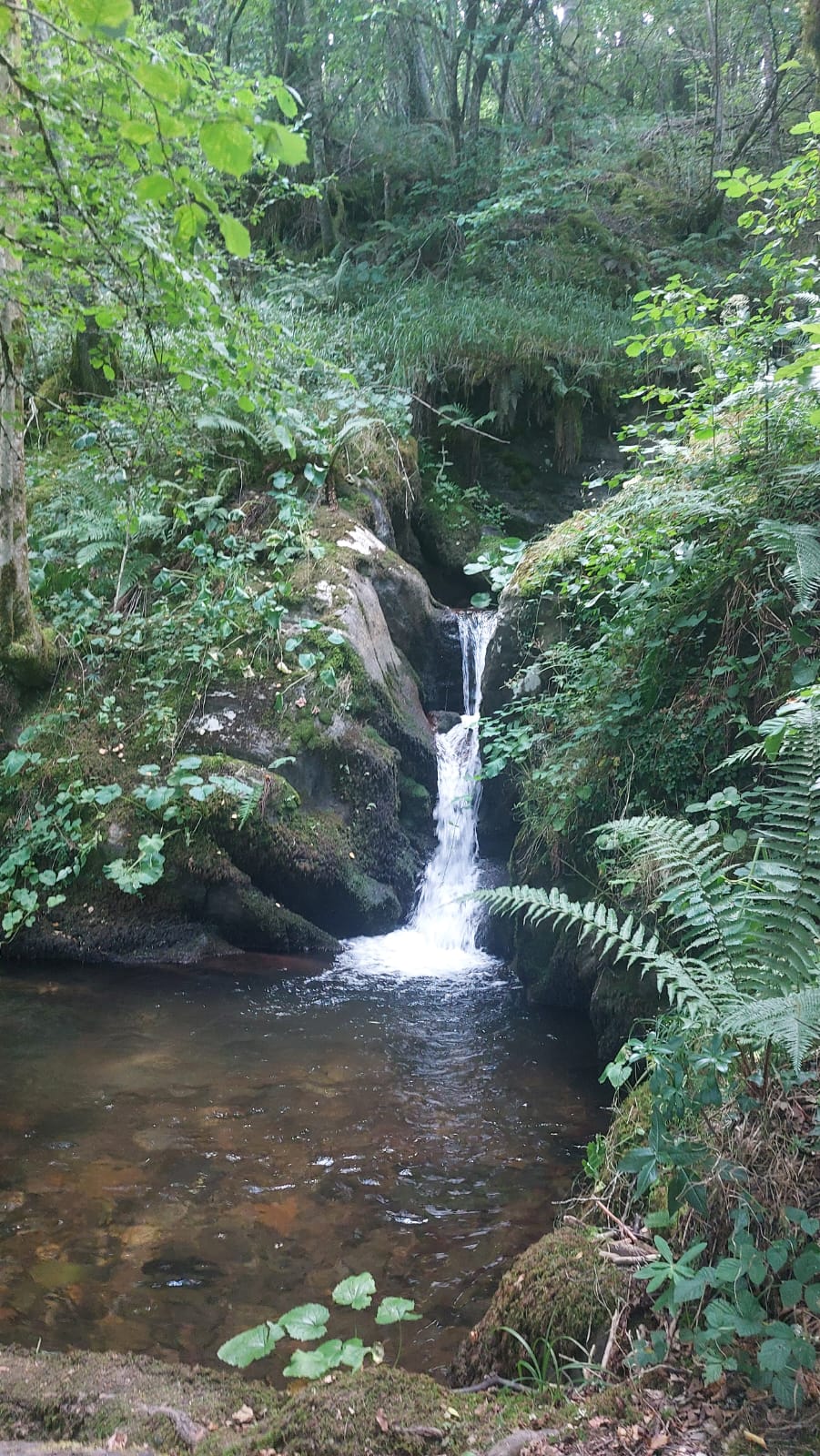 Una de las cascadas de Busmayor