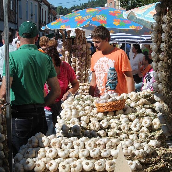 Una de las ediciones anteriores de la Feria del Ajo.