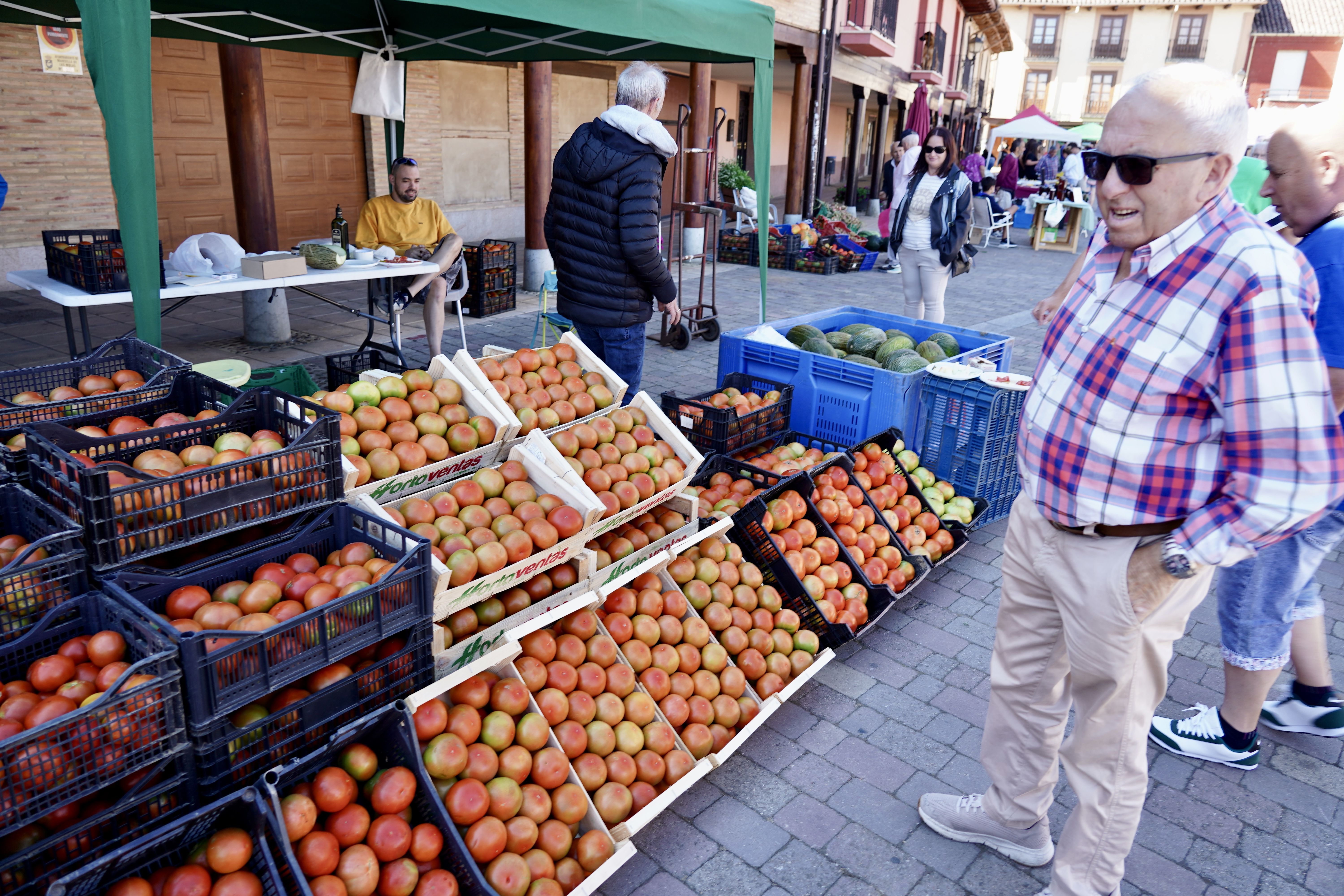 Celebración de la XXV edición de la Feria del Tomate de Mansilla de las Mulas. | CAMPILLO (ICAL)