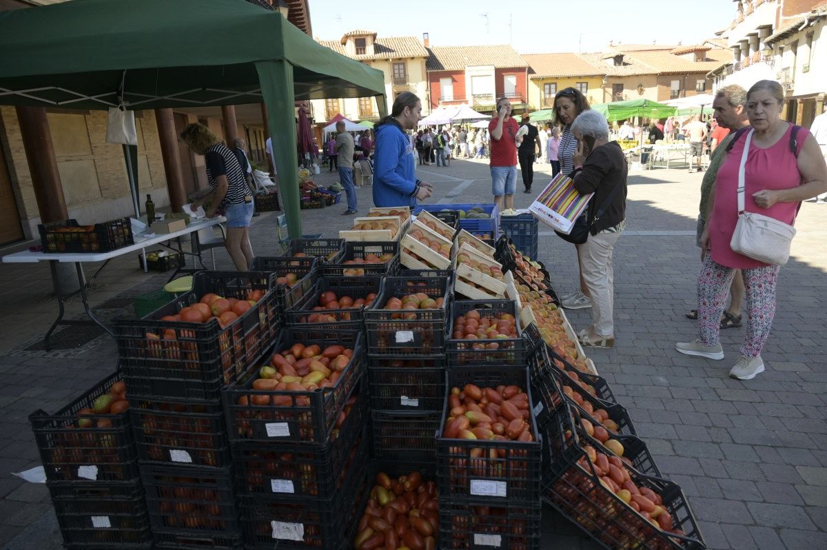 Feria del Tomate en Mansilla de las Mulas.