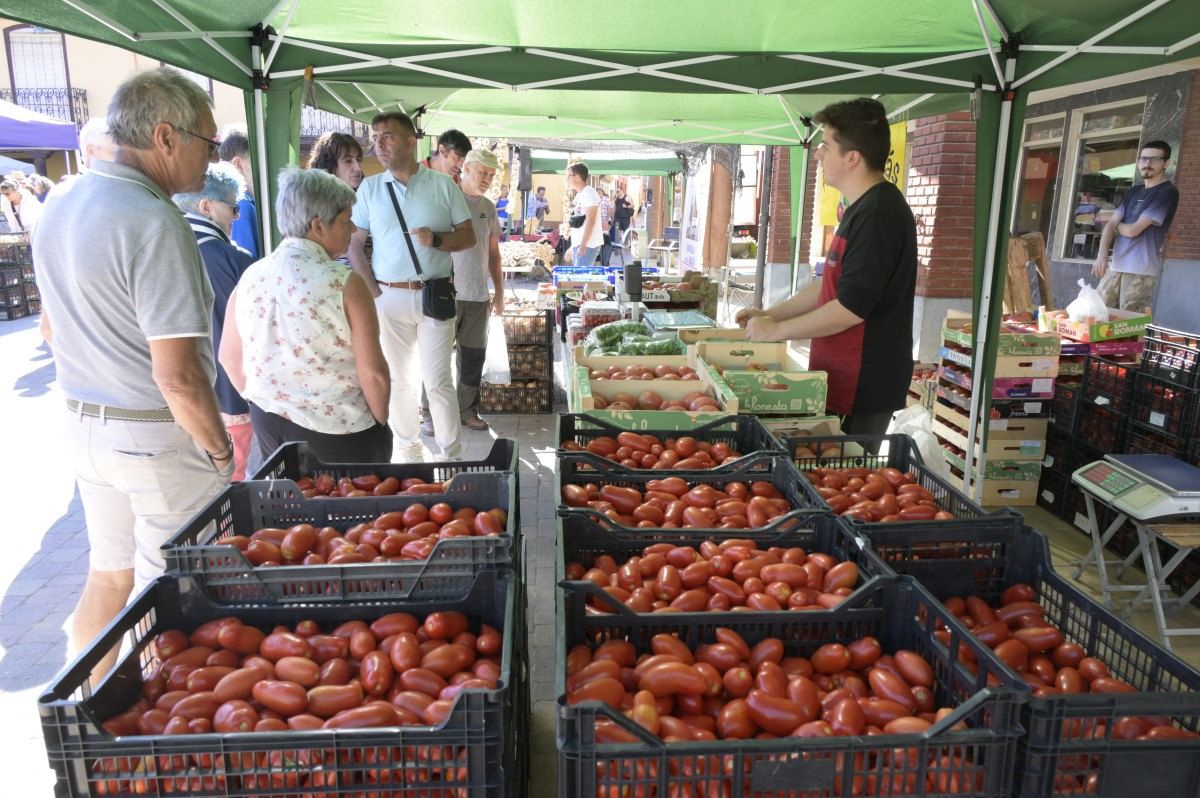 Feria del Tomate en Mansilla de las Mulas.