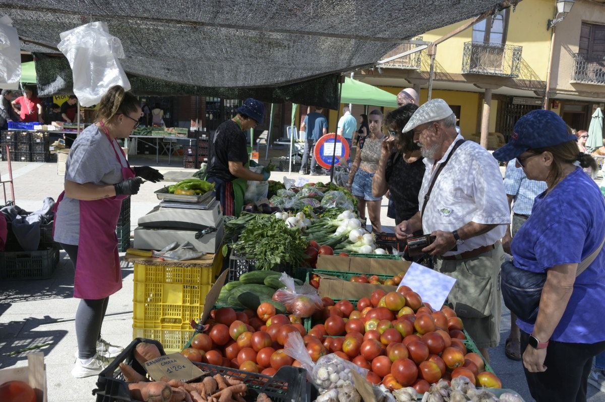 Feria del Tomate en Mansilla de las Mulas.