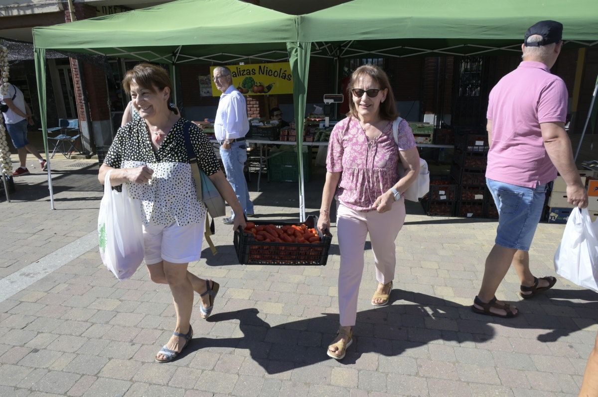 Feria del Tomate en Mansilla de las Mulas.