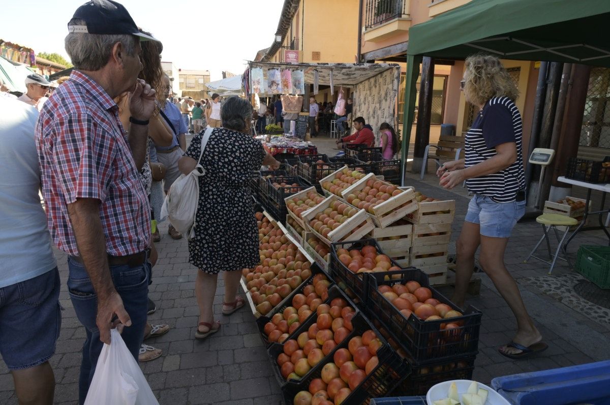 Feria del Tomate en Mansilla de las Mulas.