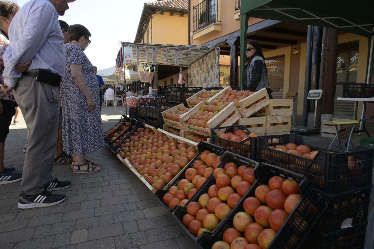 Feria del Tomate en Mansilla de las Mulas.