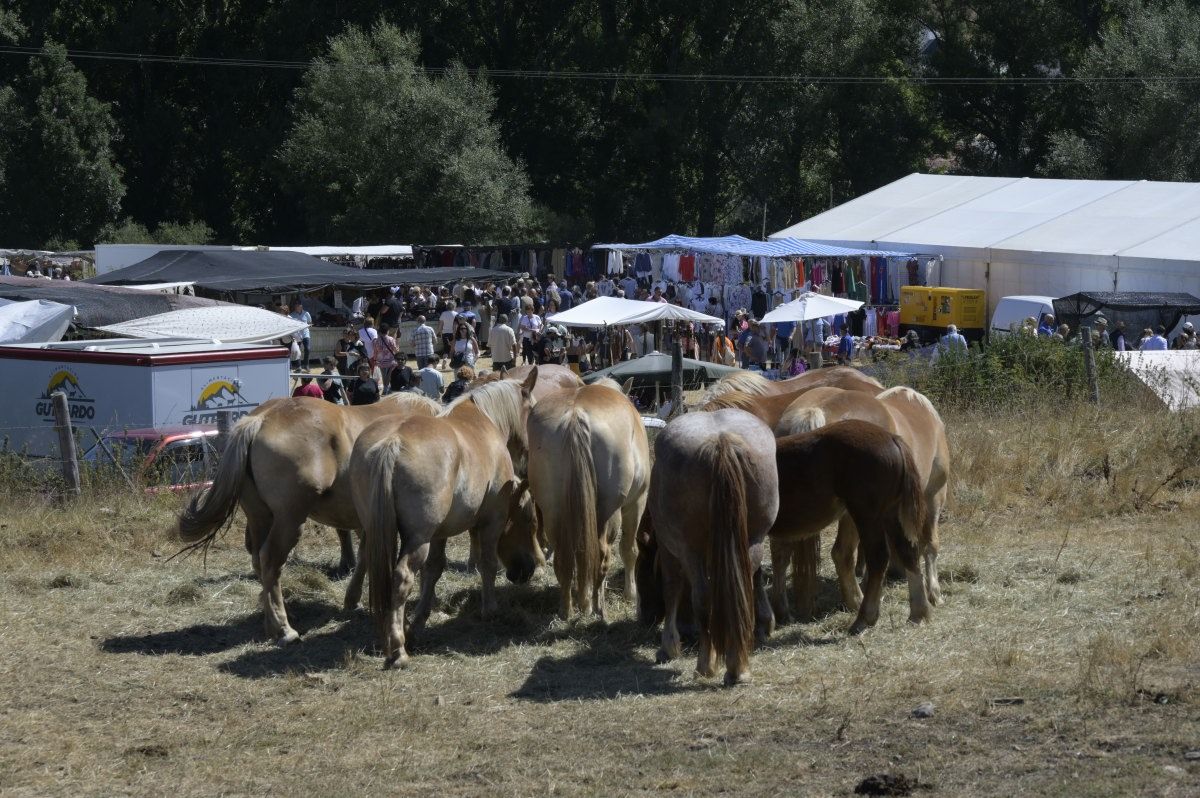 Feria del caballo Hispano Breton de San Emiliano 01