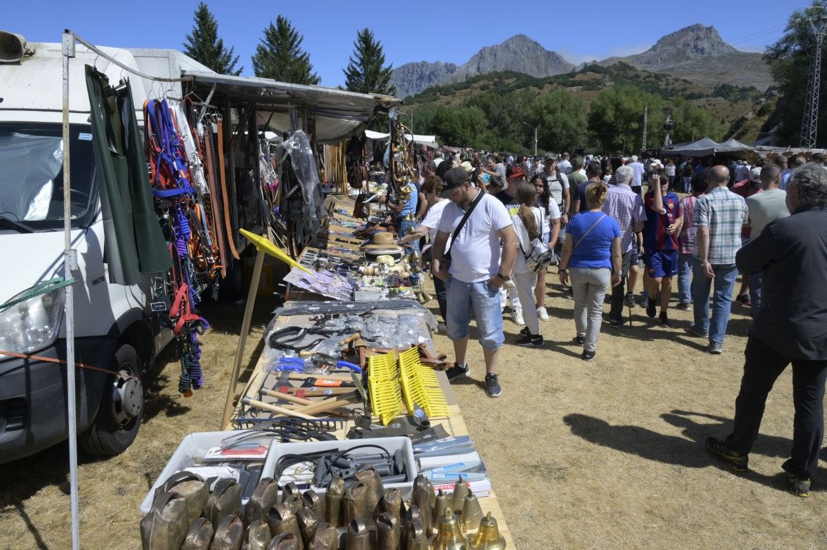 Feria del caballo Hispano Breton de San Emiliano 03