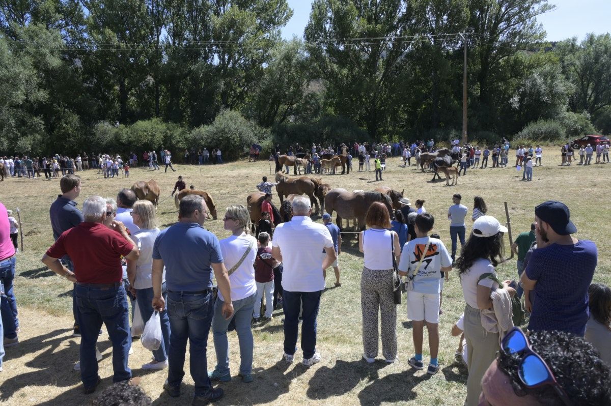 Feria del caballo Hispano Breton de San Emiliano 04