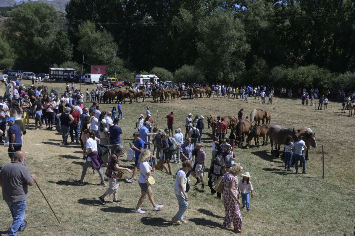 Feria del caballo Hispano Breton de San Emiliano 05