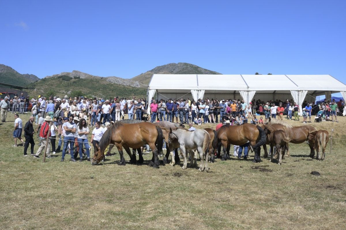 Feria del caballo Hispano Breton de San Emiliano 06