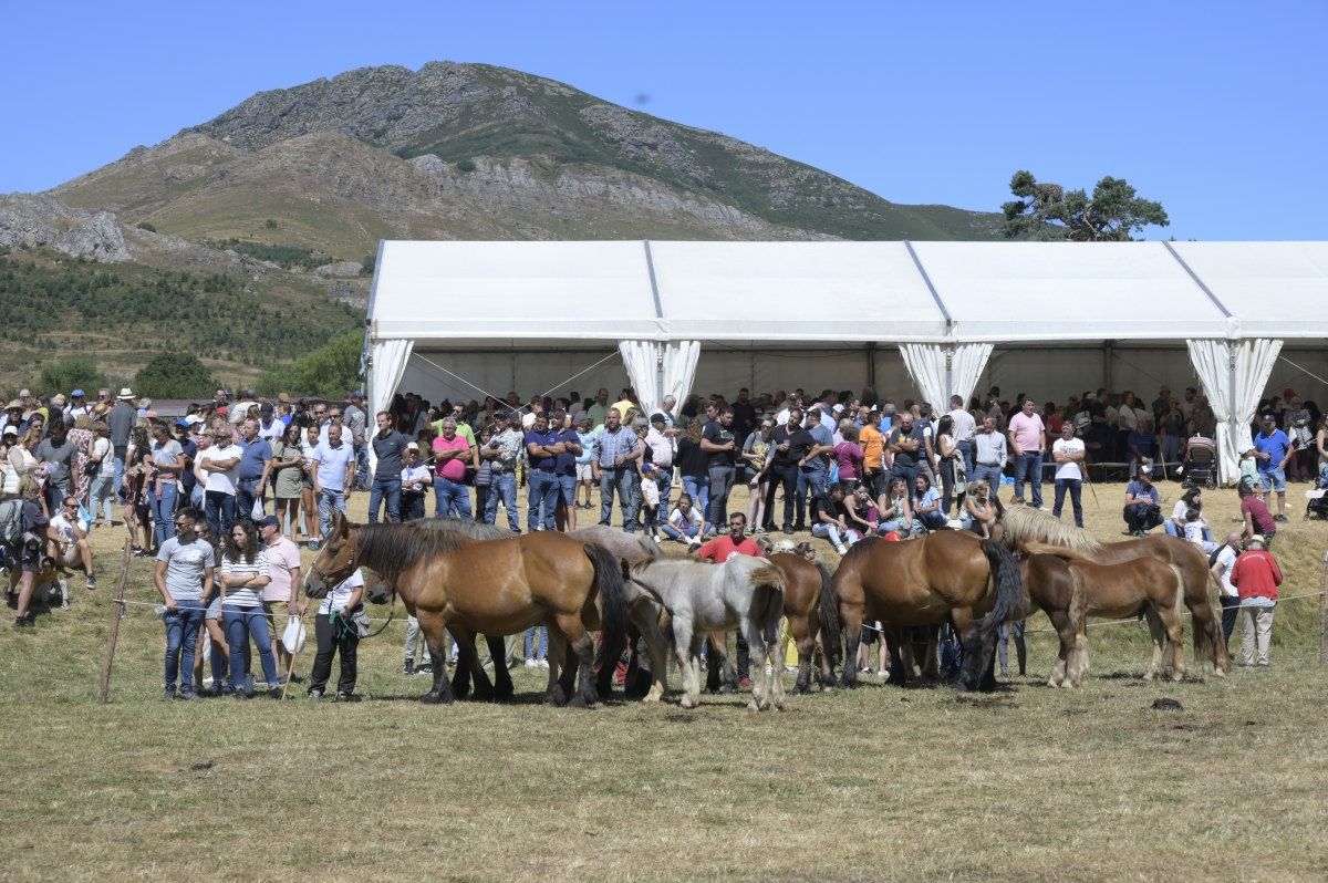 Feria del caballo Hispano Breton de San Emiliano 08