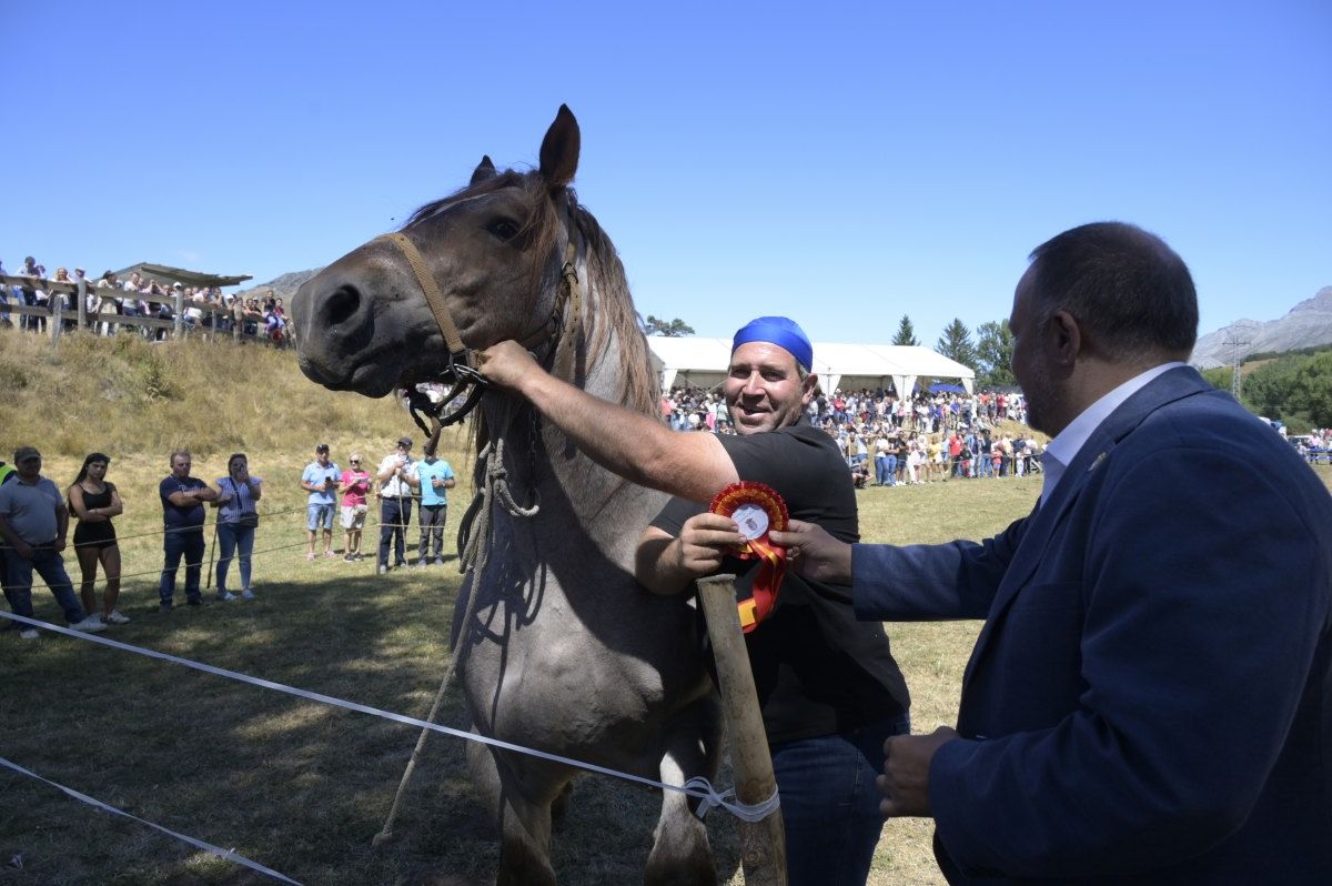 Feria del caballo Hispano Breton de San Emiliano 13