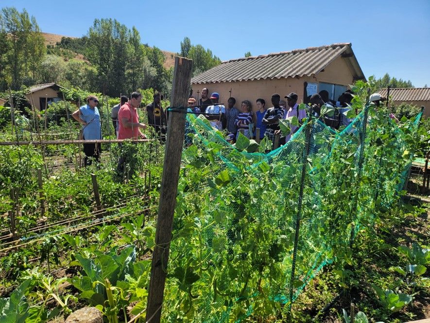 Alumnos durante las clases en los huertos de la Candamia este verano. | L.N.C.