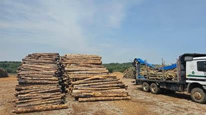 Parque de combustibles de Forestalia en Cubillos del Sil, imagen de este verano.