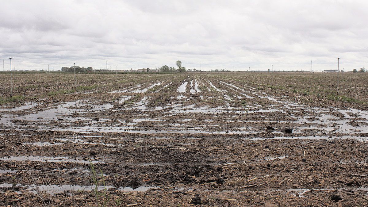 Las tierras anegadas han imposibilitado que los agricultores inicien las tareas de preparación de la siembra. | T. G