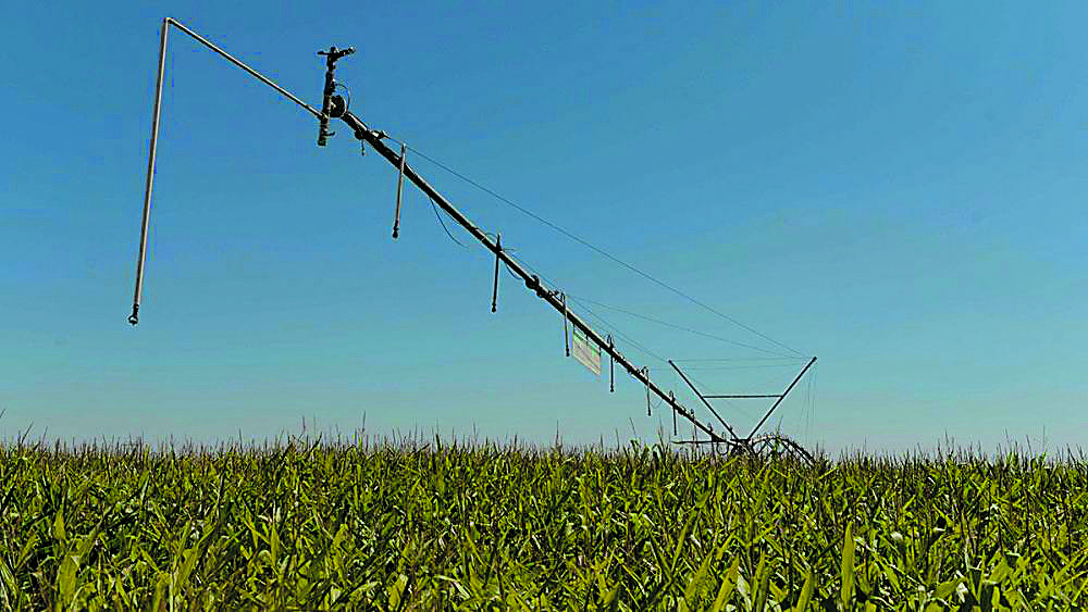 Imagen de archivo de un campo de maíz con sistemas de riego modernizado en el Páramo leonés. | MAURICIO PEÑA