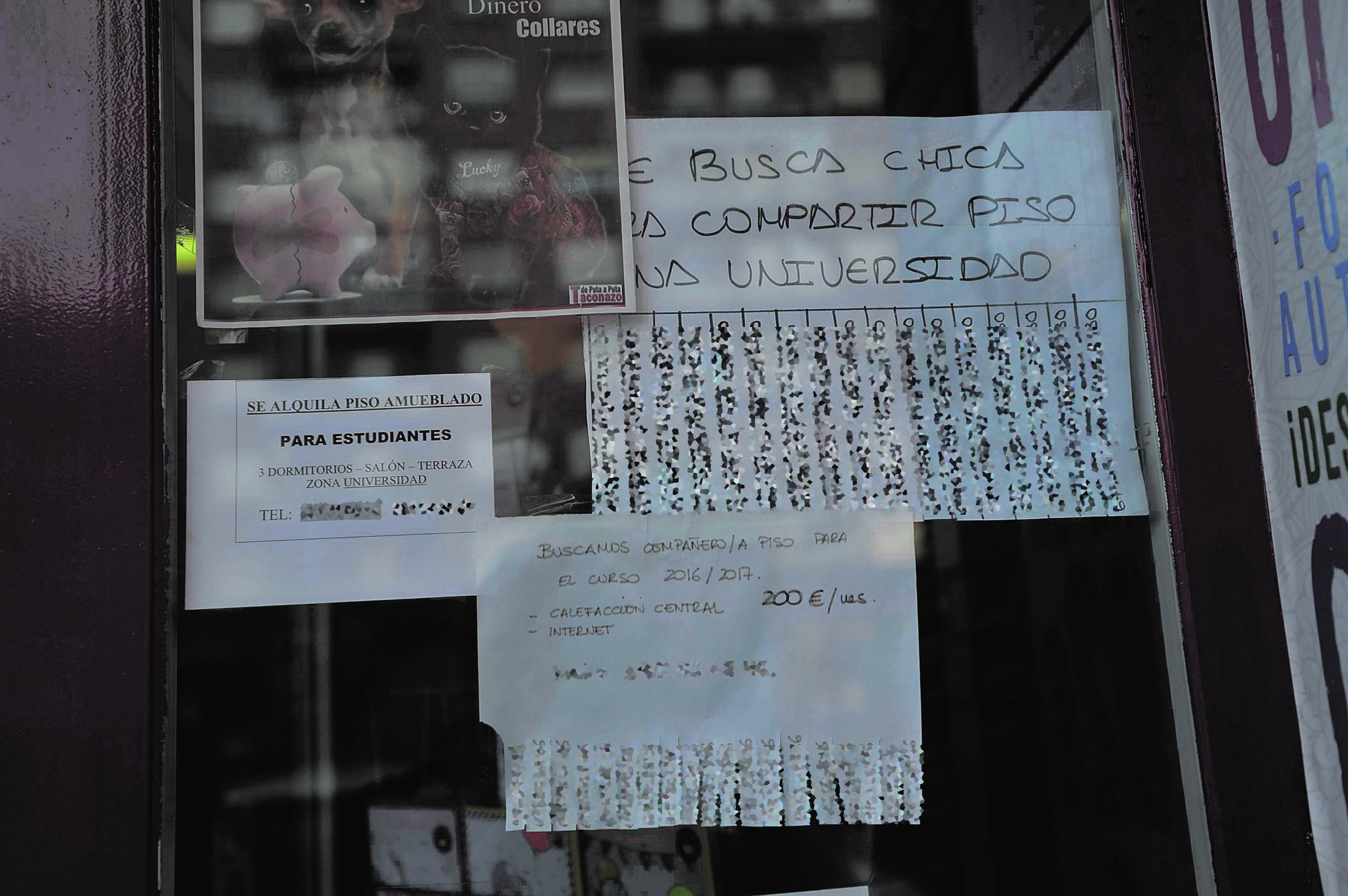 Carteles de archivo buscando compañeros de piso en la zona universitaria de León. | DANIEL MARTÍN