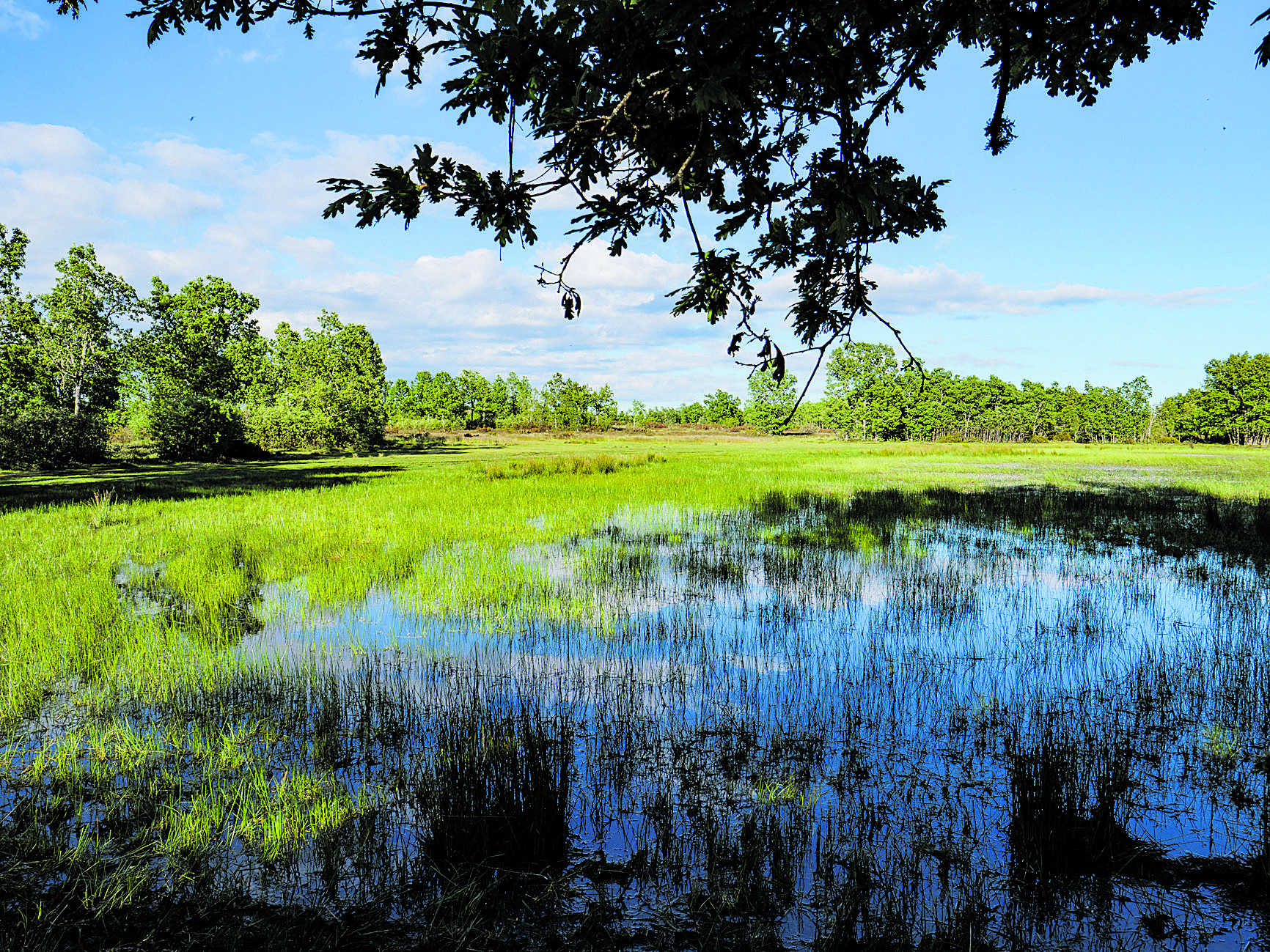 La laguna de Fontanos. | VICENTE GARCÍA