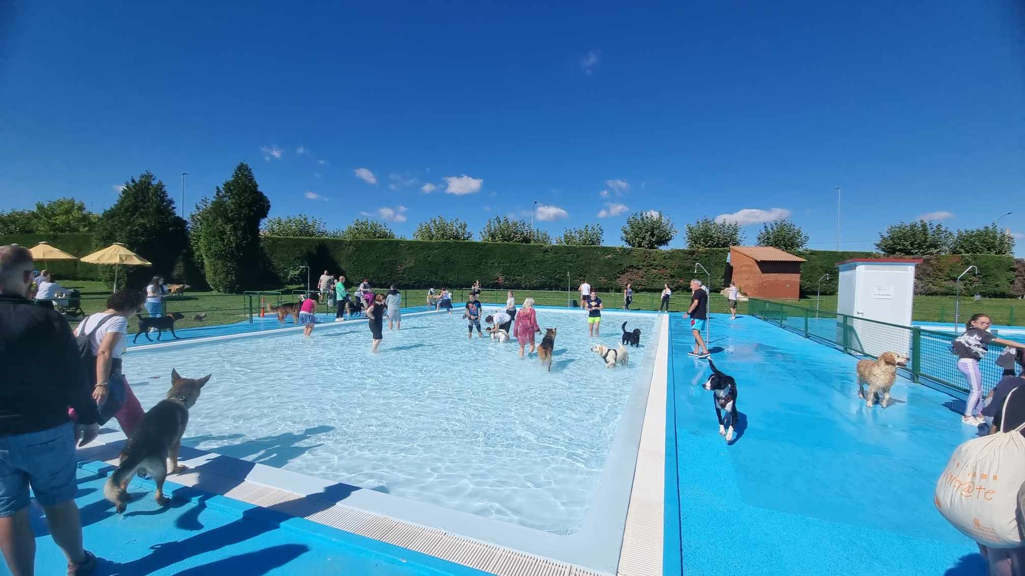 Un instante de la jornada en la piscina de Villaquilambre. | L.N.C.