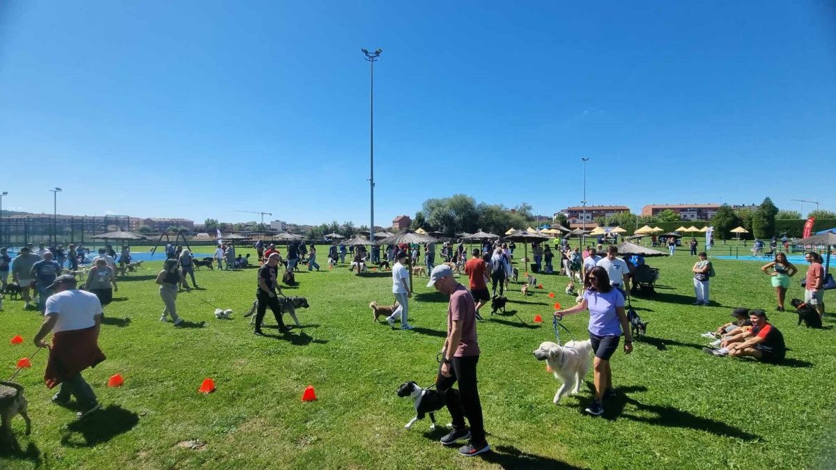 Día con perros en Villaquilambre 3