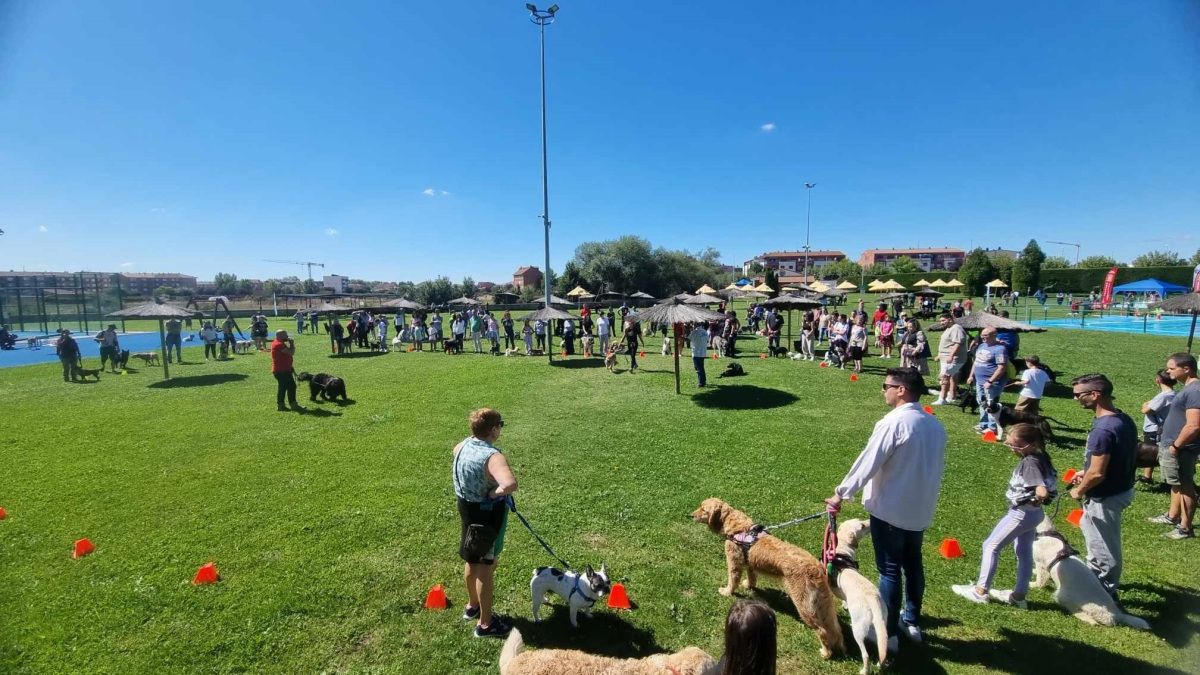 Día con perros en Villaquilambre 7