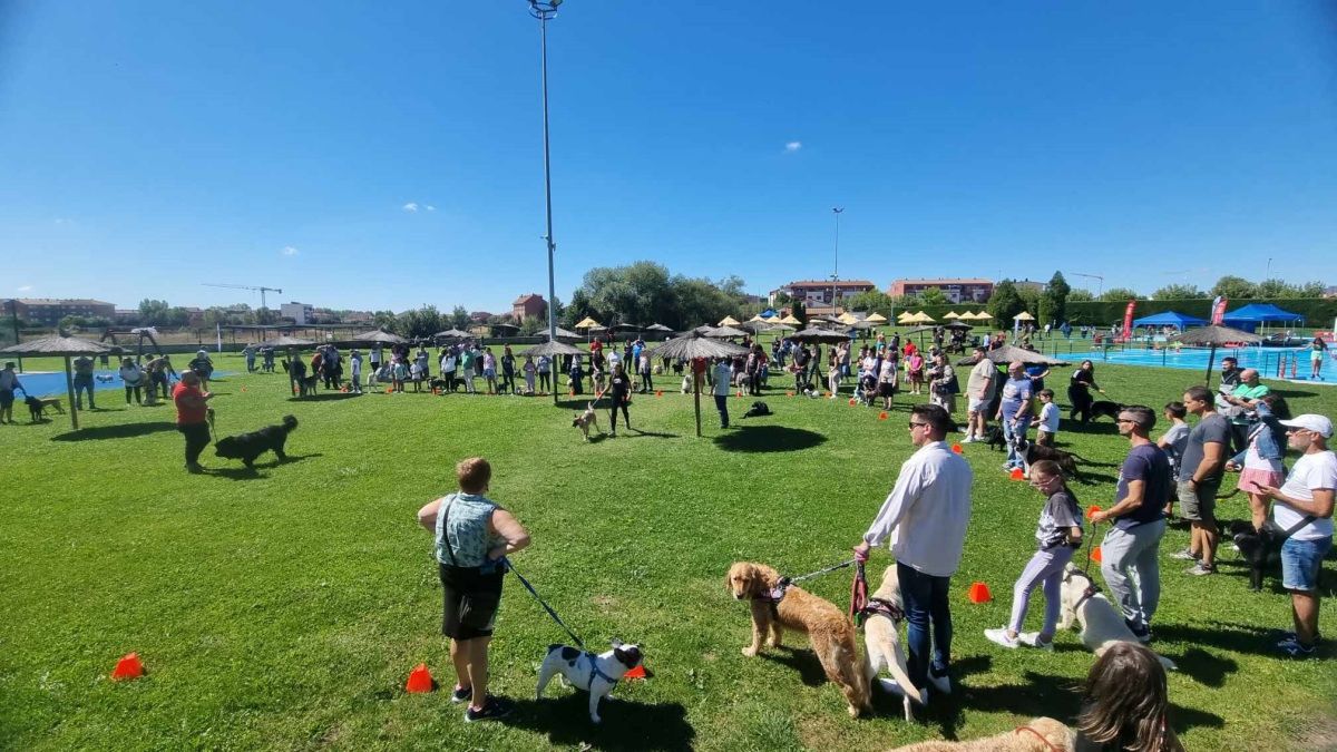 Día con perros en Villaquilambre 9