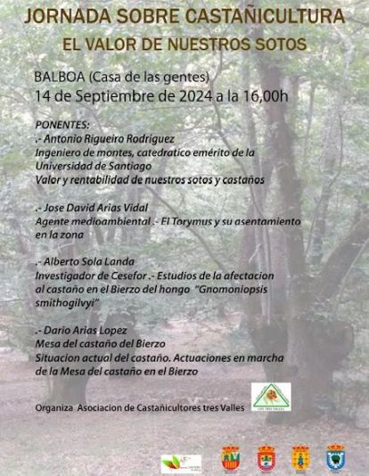 CARTEL JORNADA BALBOA 2024.