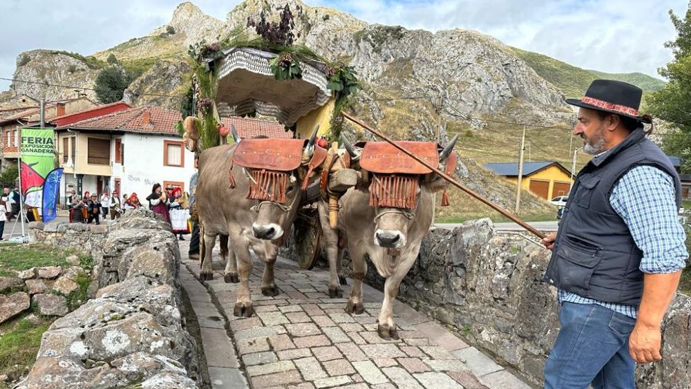 La Feria Ganadera será el eje de la jornada festiva con una amplia programación. | AYTO. VALDELUGUEROS